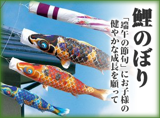 鯉のぼり